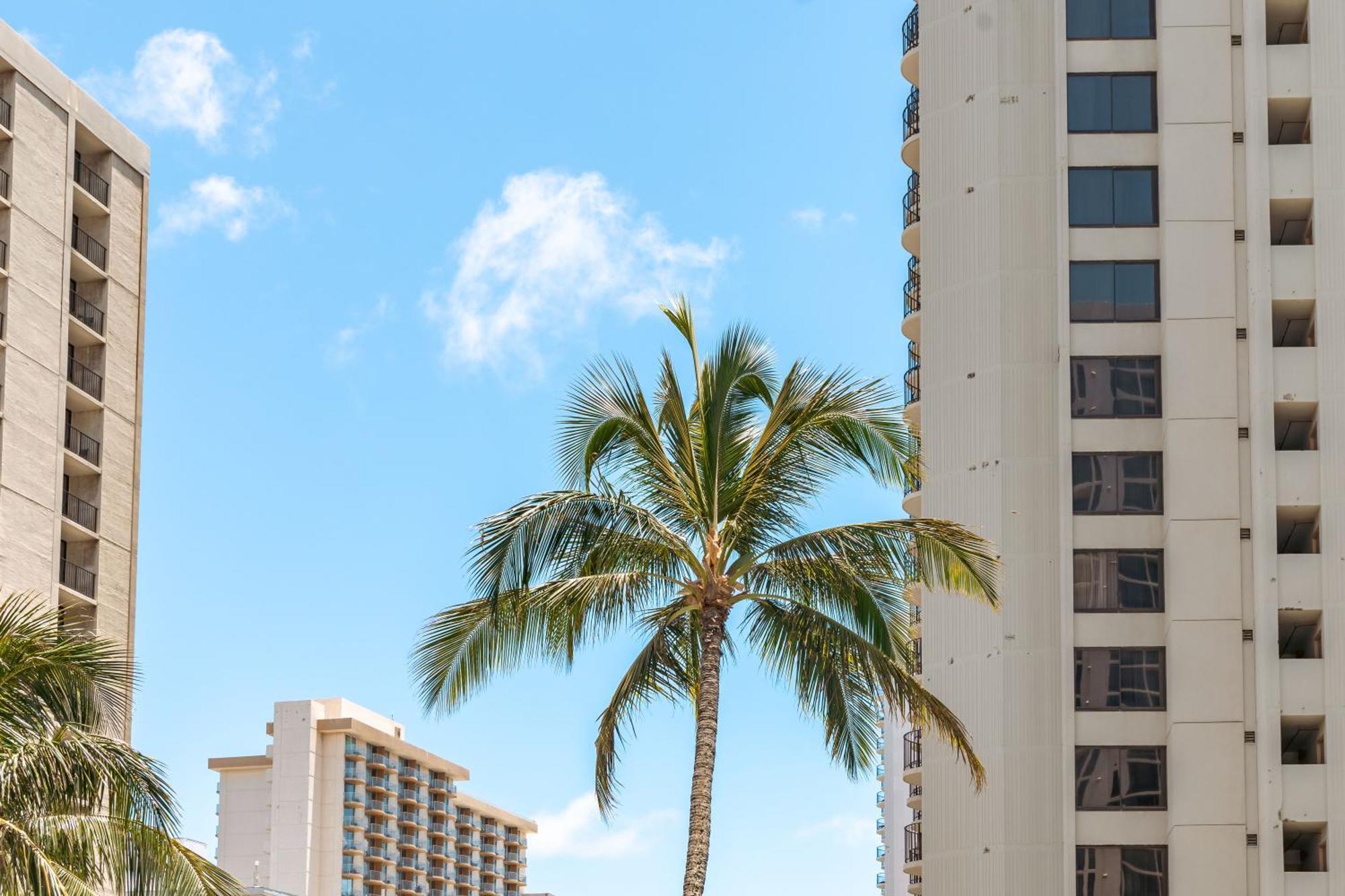 Renovated Ocean View Suite, Near Beach, Free Parking Honolulu Exterior photo